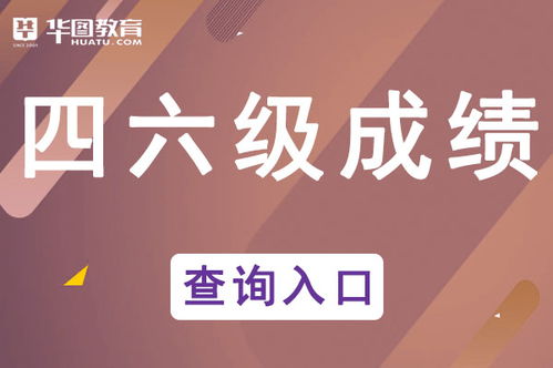 四六級成績查詢顯示“未查詢到相關信息”的常見原因與解決方案
