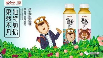 娃哈哈品牌年輕化與市場滲透——營銷策劃與廣告創意大賽方案